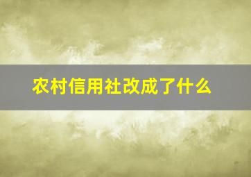 农村信用社改成了什么