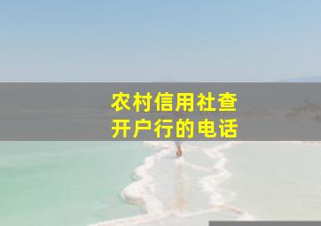 农村信用社查开户行的电话