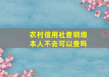 农村信用社查明细本人不去可以查吗