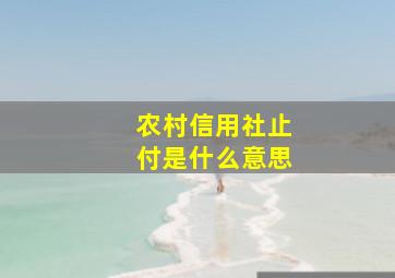 农村信用社止付是什么意思