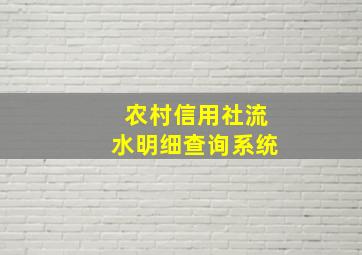 农村信用社流水明细查询系统