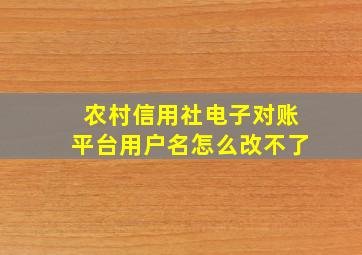 农村信用社电子对账平台用户名怎么改不了