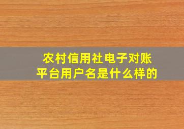 农村信用社电子对账平台用户名是什么样的