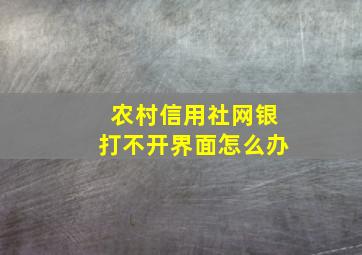 农村信用社网银打不开界面怎么办