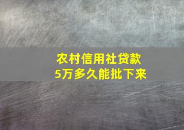 农村信用社贷款5万多久能批下来