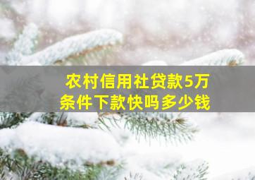 农村信用社贷款5万条件下款快吗多少钱