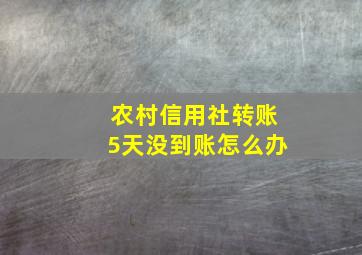 农村信用社转账5天没到账怎么办