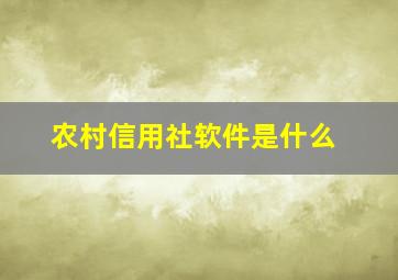 农村信用社软件是什么