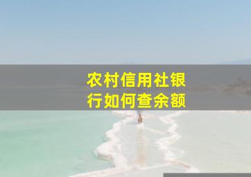 农村信用社银行如何查余额