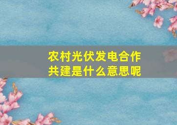 农村光伏发电合作共建是什么意思呢