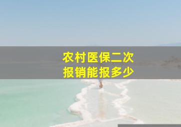 农村医保二次报销能报多少