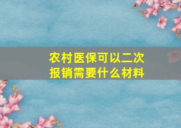 农村医保可以二次报销需要什么材料