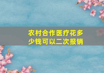 农村合作医疗花多少钱可以二次报销