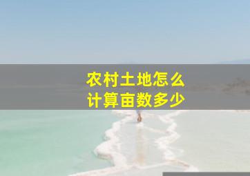 农村土地怎么计算亩数多少