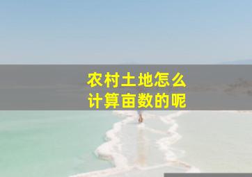 农村土地怎么计算亩数的呢