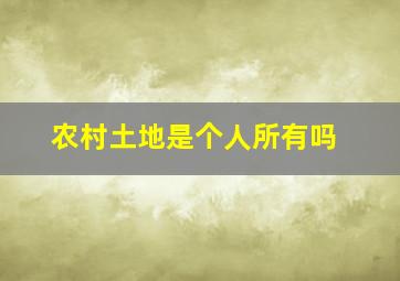 农村土地是个人所有吗