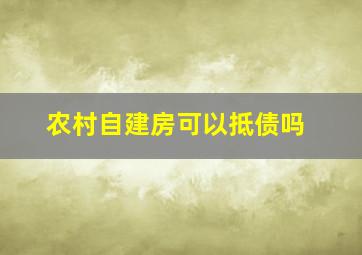 农村自建房可以抵债吗