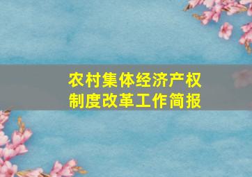 农村集体经济产权制度改革工作简报