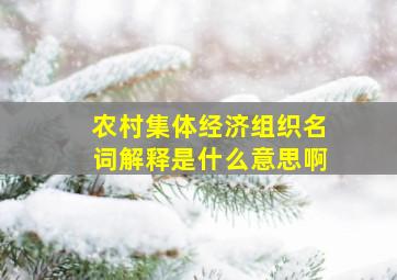 农村集体经济组织名词解释是什么意思啊