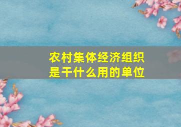 农村集体经济组织是干什么用的单位