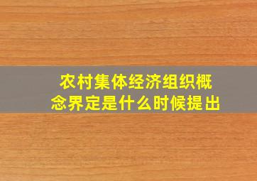 农村集体经济组织概念界定是什么时候提出