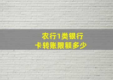 农行1类银行卡转账限额多少