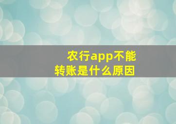 农行app不能转账是什么原因