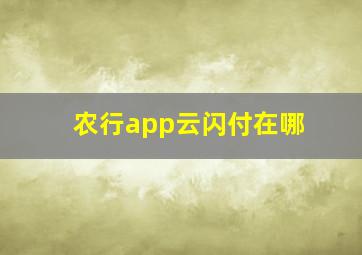 农行app云闪付在哪