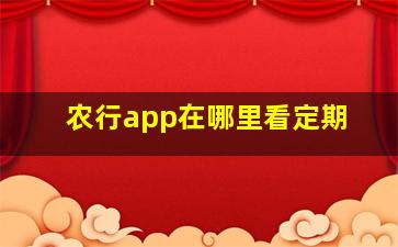 农行app在哪里看定期