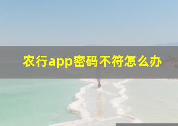 农行app密码不符怎么办