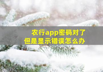 农行app密码对了但是显示错误怎么办