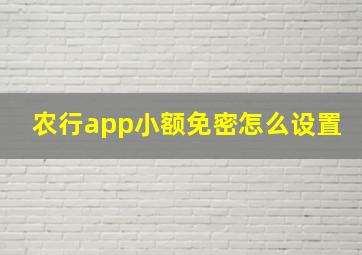 农行app小额免密怎么设置