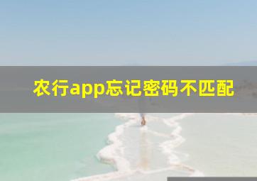 农行app忘记密码不匹配