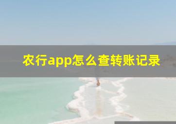 农行app怎么查转账记录