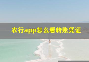 农行app怎么看转账凭证