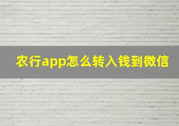 农行app怎么转入钱到微信