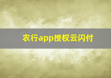 农行app授权云闪付