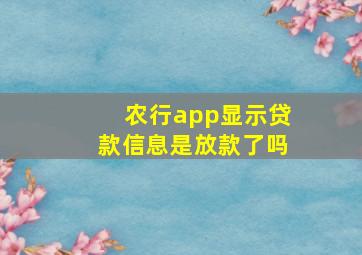 农行app显示贷款信息是放款了吗