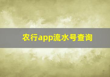 农行app流水号查询