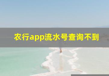 农行app流水号查询不到