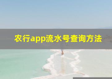 农行app流水号查询方法