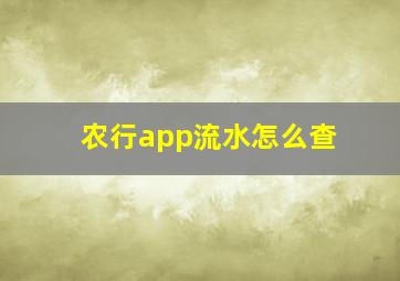 农行app流水怎么查