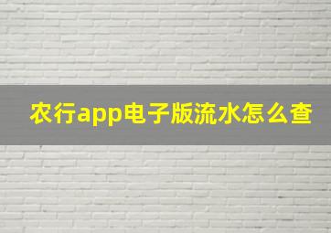 农行app电子版流水怎么查