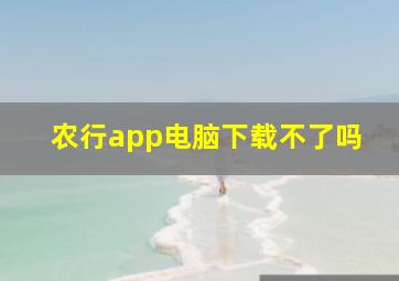 农行app电脑下载不了吗