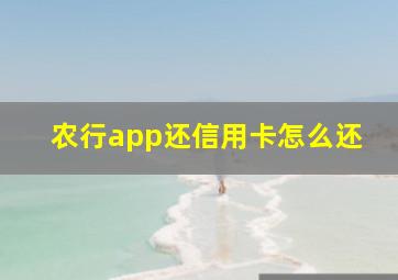 农行app还信用卡怎么还