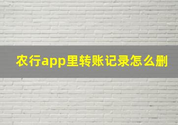 农行app里转账记录怎么删