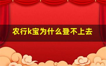 农行k宝为什么登不上去