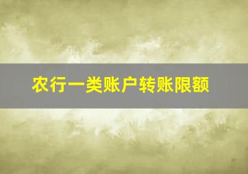 农行一类账户转账限额