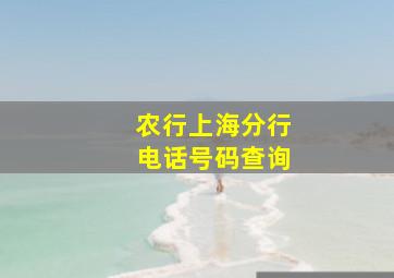 农行上海分行电话号码查询