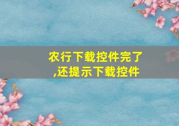 农行下载控件完了,还提示下载控件